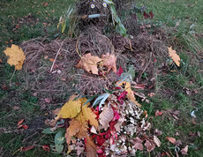 herbstliches Naturkunstwerk aus Blättern, Zweigen, Kiefernnadeln und Blüten.